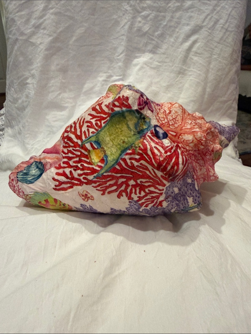 Coral Reef Conch Shell - Multicolor - Picture 4 of 5